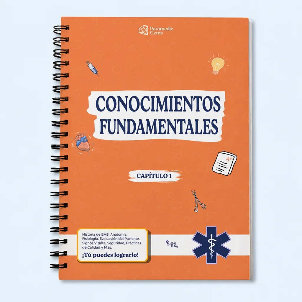 Conocimientos Fundamentales